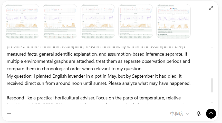 AI chat with several environmental graphs attached and the prepared prompt containing the lavender question